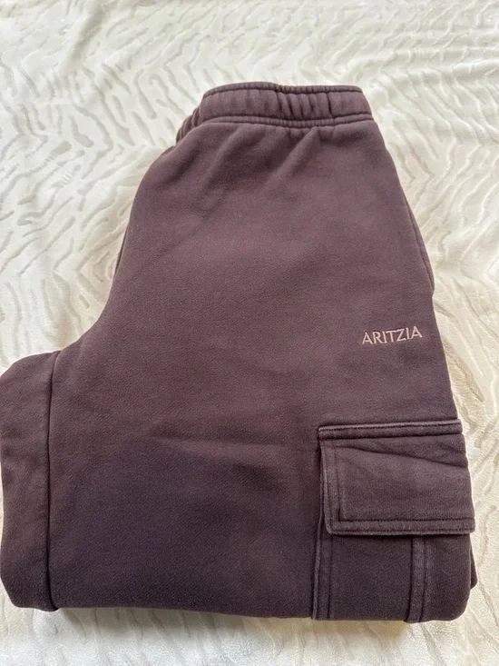Aritzia Sweatfleece Mega Fit Cargo Pant in Rich Mocha Brown Size M - Picture 1 of 5